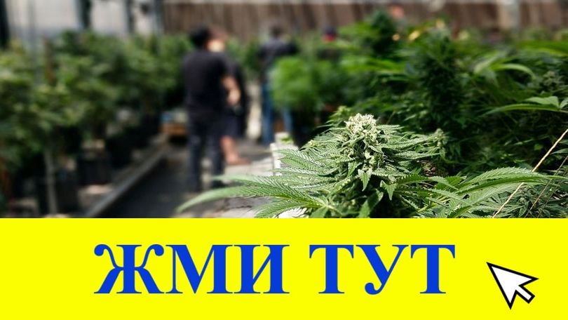 Купить наркотики в Реже